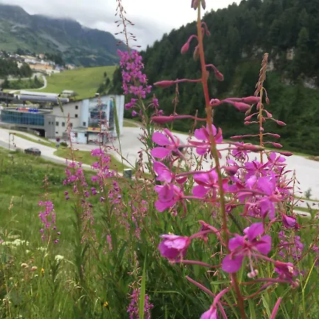 Appartement Haus Reiter