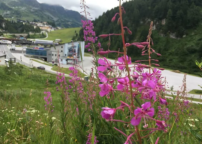 Apartment Haus Reiter